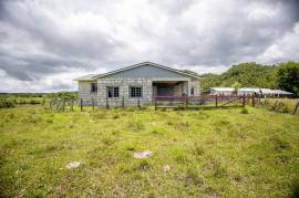 Farm/Agriculture for Sale Westmoreland, Enfield