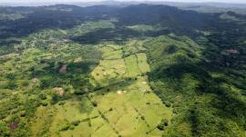Farm/Agriculture for Sale Westmoreland, Enfield