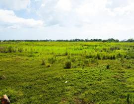 Development Land (Residential) for Sale Westmorela