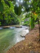 Hotel for Sale Clarendon, Toll Gate