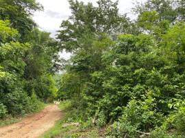 Development Land (Residential) for Sale St. Mary, 