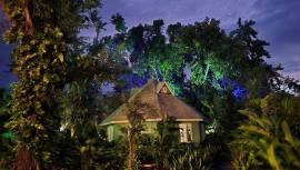 Hotel for Sale Westmoreland, Negril