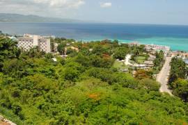 Commercial Lot for Sale St. James, Montego Bay