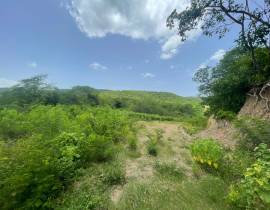 Development Land (Residential) for Sale St. Thomas