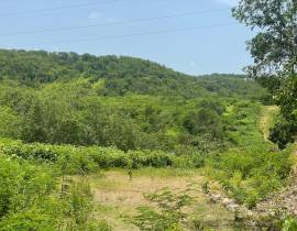 Development Land (Residential) for Sale St. Thomas