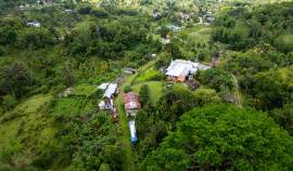 Farm/Agriculture for Sale Westmoreland, Lambs Rive