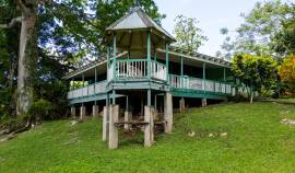 Farm/Agriculture for Sale Westmoreland, Lambs Rive