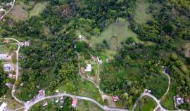 Farm/Agriculture for Sale Westmoreland, Lambs Rive