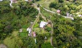 Farm/Agriculture for Sale Westmoreland, Lambs Rive