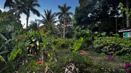 Development Land (Residential) for Sale St. Ann, S