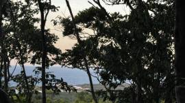 Development Land (Residential) for Sale St. Ann, S