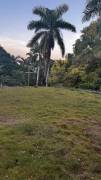 Development Land (Residential) for Sale St. Ann, S
