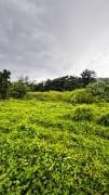 Development Land (Residential) for Sale St. Ann, S
