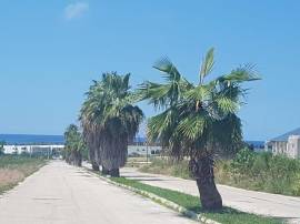 Commercial Lot for Sale St. James, Montego Bay