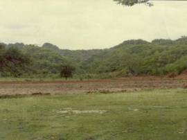 Development Land (Residential) for Sale St. Cather