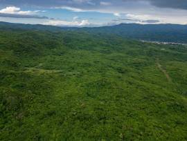 Development Land (Residential) for Sale St. Cather