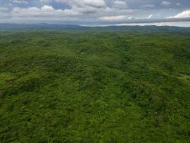 Development Land (Residential) for Sale St. Cather