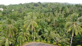 Development Land (Residential) for Sale Portland, 