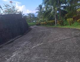 Development Land (Residential) for Sale Portland, 