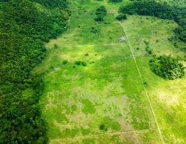 Development Land (Residential) for Sale Westmorela