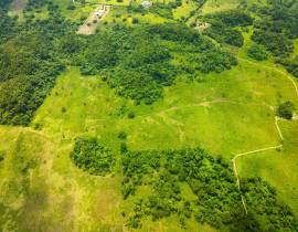 Development Land (Residential) for Sale Westmorela