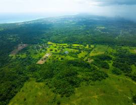 Development Land (Residential) for Sale Westmorela