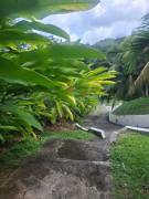 Resort Apartment/Villa for Sale Portland, Fairy Hi