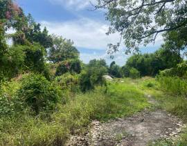 Development Land (Commercial) for Sale Kingston & 