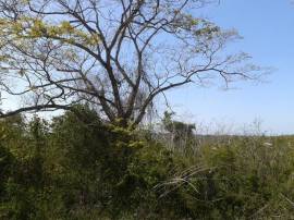 Development Land (Residential) for Sale Kingston &