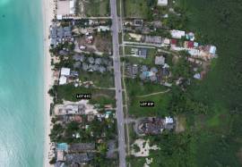 Development Land (Residential) for Sale Westmorela