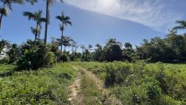 Development Land (Residential) for Sale Westmorela