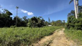 Development Land (Residential) for Sale Westmorela