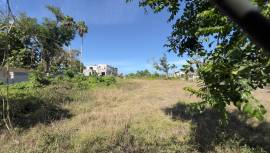 Development Land (Residential) for Sale Westmorela