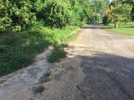Development Land (Residential) for Sale Westmorela