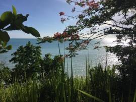 Development Land (Residential) for Sale Westmorela