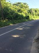 Development Land (Residential) for Sale Westmorela