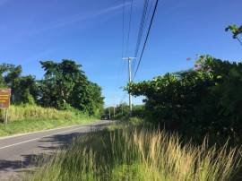 Development Land (Residential) for Sale Westmorela