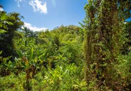 Development Land (Residential) for Sale Hanover, P