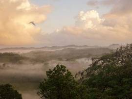 House for Sale St. Ann, Walkerswood