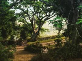 House for Sale St. Ann, Walkerswood