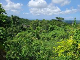 Development Land (Residential) for Sale St. James,