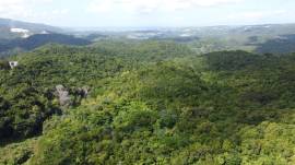 Development Land (Residential) for Sale St. James,