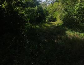 Development Land (Residential) for Sale St. James,