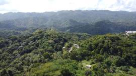 Development Land (Residential) for Sale St. James,