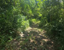 Development Land (Residential) for Sale St. James,