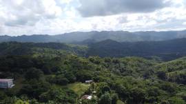 Development Land (Residential) for Sale St. James,