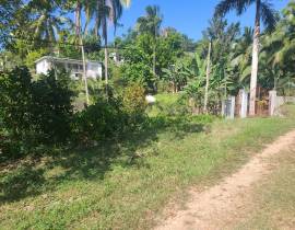 Development Land (Residential) for Sale St. James,