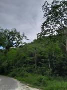 Development Land (Residential) for Sale St. Cather