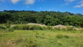 Commercial Lot for Sale Clarendon, Suttons