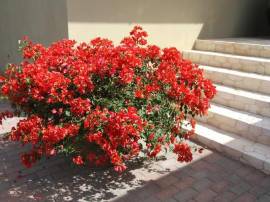 House for Sale Kingston & St. Andrew, Kingston 8